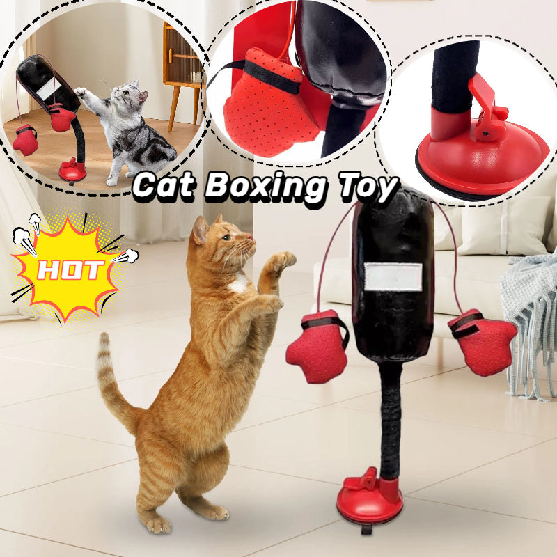 KFX-9609277 Interactive Cat Punching Bag Toy with Gloves for Active Indoor Play and Exercise