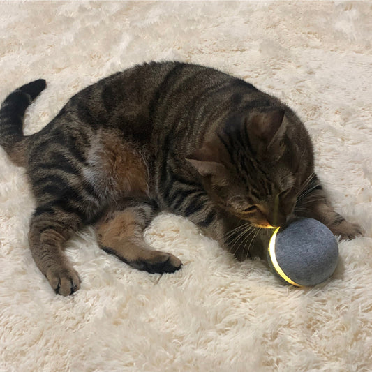 KFX-9610429 Interactive Bouncing Ball Toy for Pets - Eco-Friendly, Waterproof, Multicolor LED Lights, USB Rechargeable