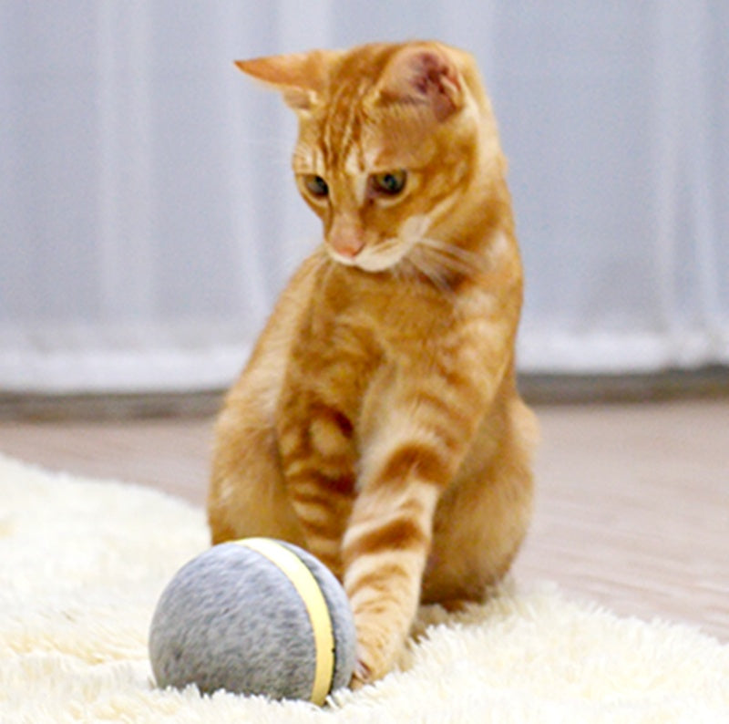 KFX-9610429 Interactive Bouncing Ball Toy for Pets - Eco-Friendly, Waterproof, Multicolor LED Lights, USB Rechargeable