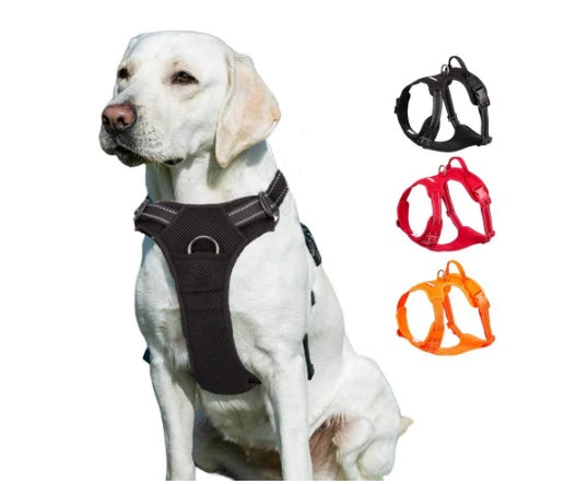 KFX-9611069 Dog Vest-style Chest Strap with Towing Rope - Adjustable Size Options in Orange, Red & Black
