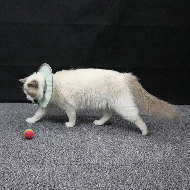 KFX-9615165 Waterproof and Splashproof Nylon Headgear for Cats and Dogs in Cyan
