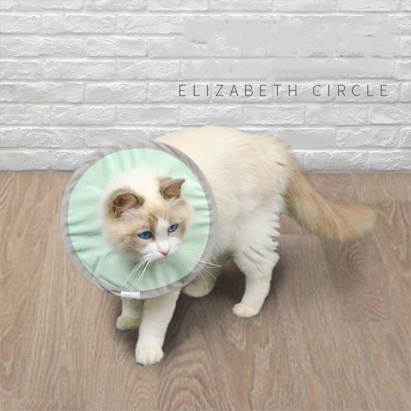 KFX-9615165 Waterproof and Splashproof Nylon Headgear for Cats and Dogs in Cyan