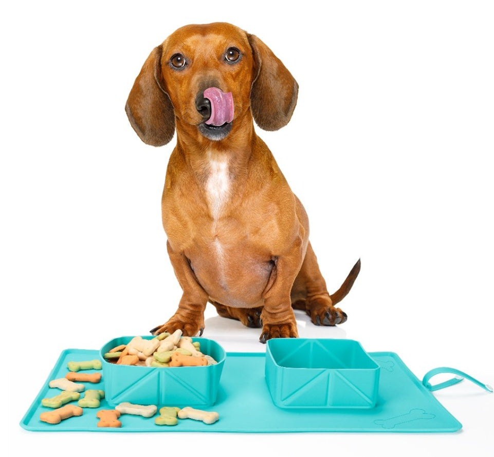 KFX-9617725 Foldable Silicone Dog and Cat Bowl, 600ml Capacity, Portable Pet Feeding and Hydrating Solution