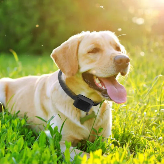 KFX-9625277 Electric Dog Fence System with Water-Resistant Collar for All Dog Sizes, Adjustable Range Up to 1.2 Acres