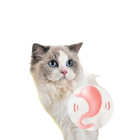KFX-9629885 Durable Bamboo Cat Molar Stick for Oral Health, Tartar Removal, Large Pack Options Available