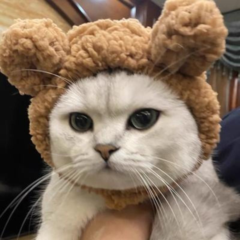 KFX-9633853 Plush Bear Hat for Pets in Brown, White, and Pink – Cozy Dress-Up Accessory