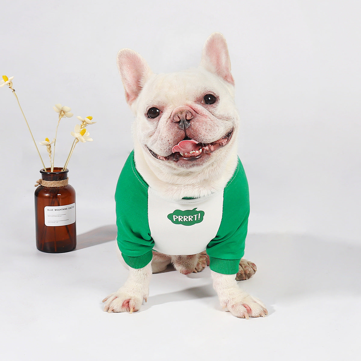 KFX-9634109 Korean Style Dog Winter Outfit - Thin Stitching, Comfortable Cotton, Easy Pullover Design, Multiple Sizes Available
