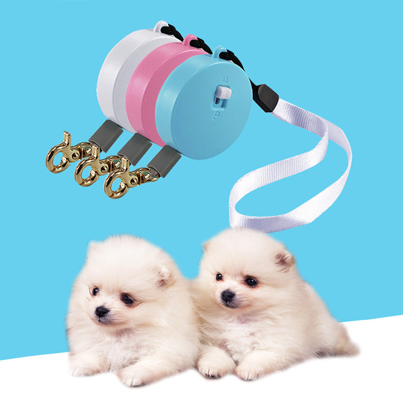 KFX-9644349 Automatic Mini Portable Dog Leash with 2M Flexible Rope for Outdoor and Travel Use