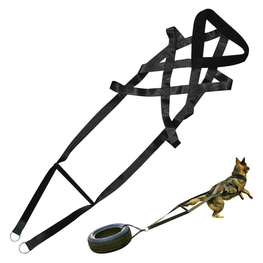KFX-9645373 Adjustable Cotton Dog Traction Belt with Chest Strap – 110cm Length