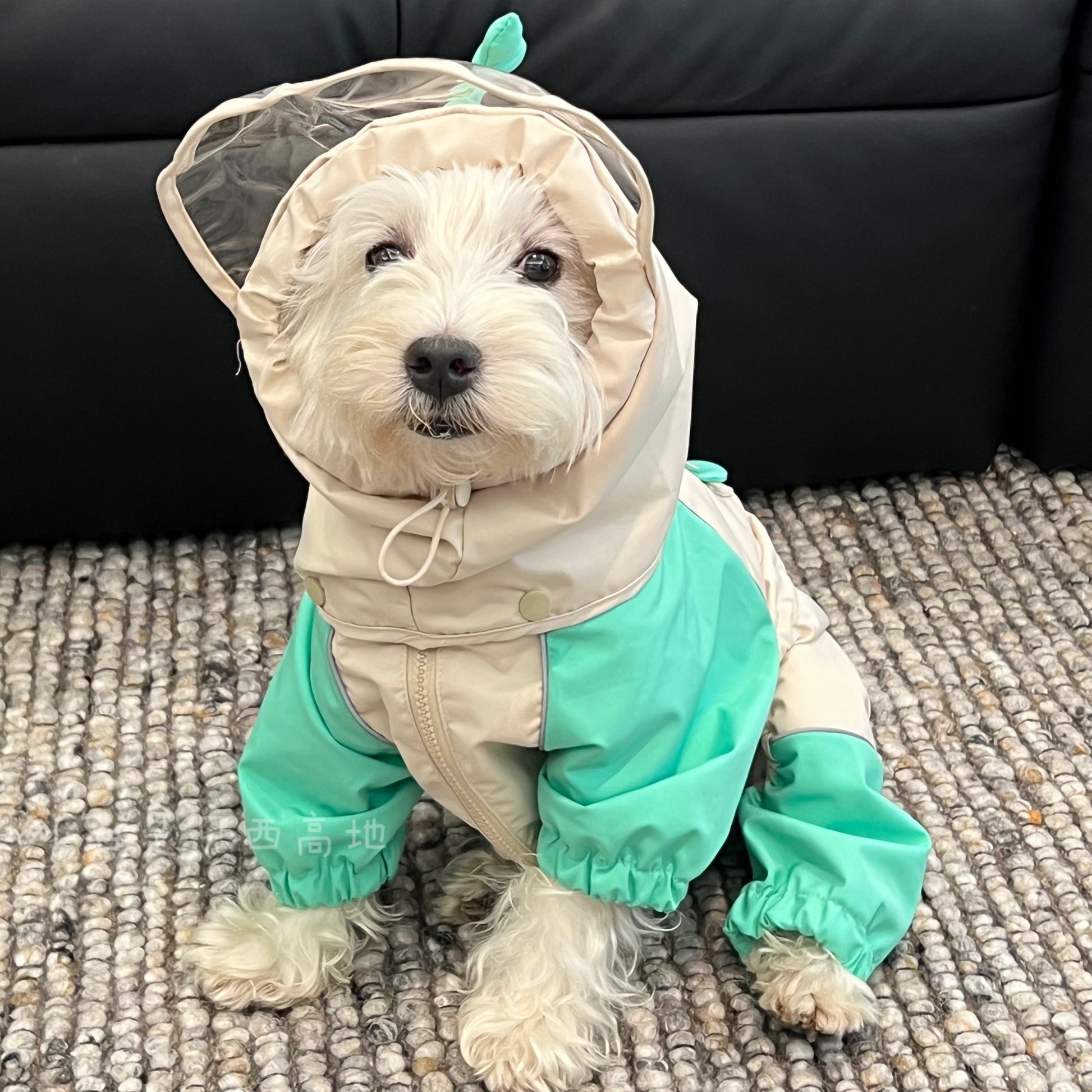KFX-9660605 Waterproof Khaki Pet Poncho for Schnauzers - Casual Cartoon Raincoat