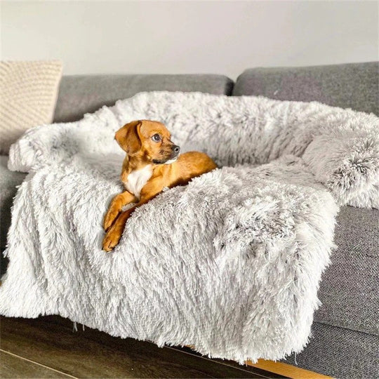 KFX-9661885 Cozy Orthopedic Dog Bed for Ultimate Comfort and Support