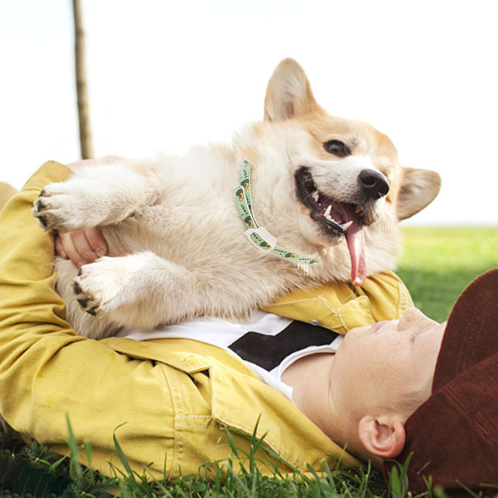 KFX-9674813 Adjustable Dog Calming Collar, Anti-Flea and Lice Necklace for Pets, Durable and Odor-Free Design