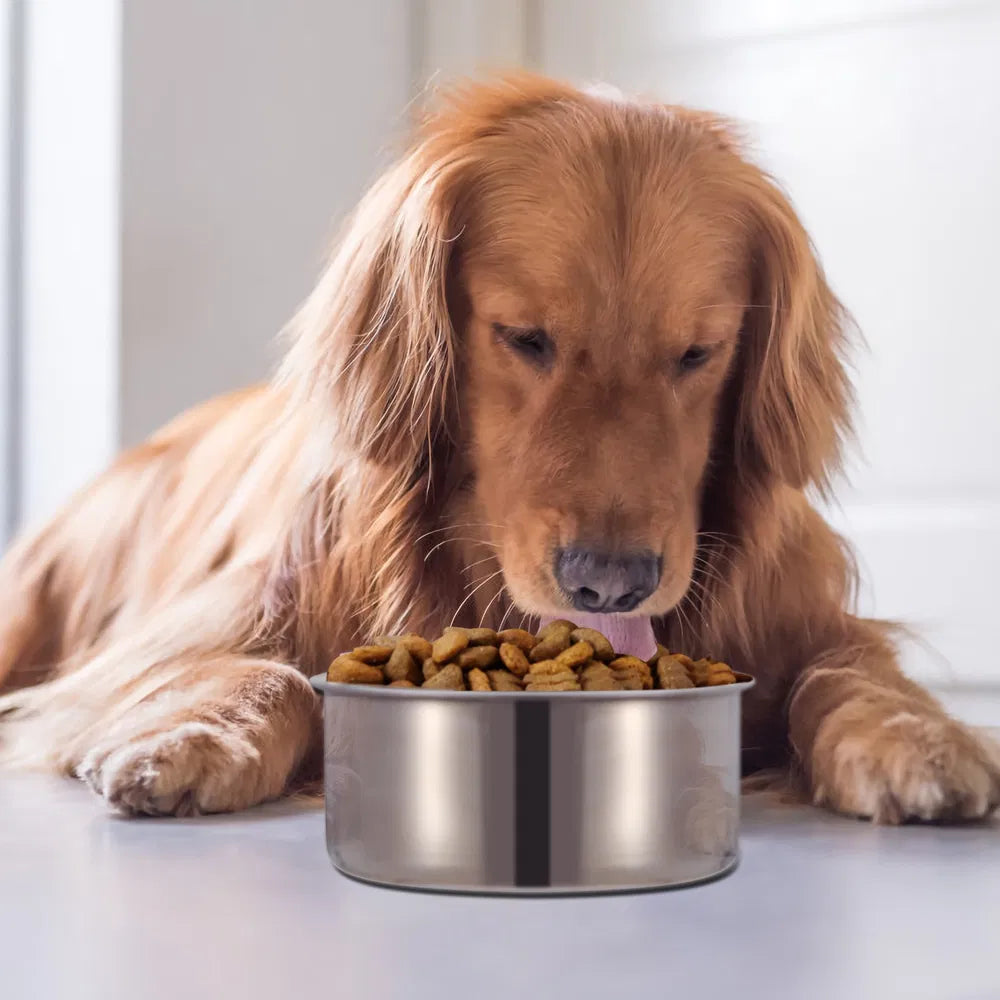 KFX-9679293 Stainless Steel Hanging Dog Bowl with Detachable Clamp for Pet Cage Food and Water