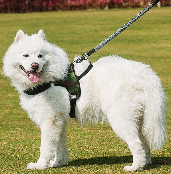 KFX-9682365 Adjustable Dog Chest Harness with Leash - Normal Length 75-105cm, Extended Length 120-150cm