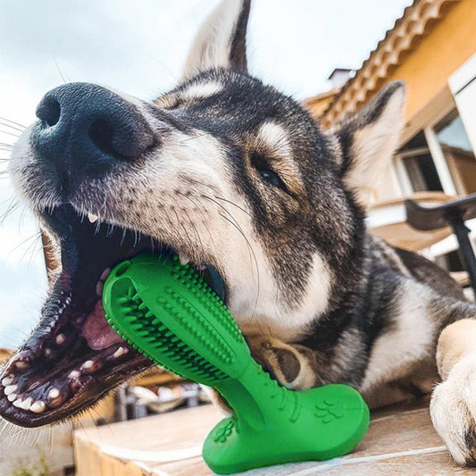KFX-9683901 Bite Resistant Rubber Molar Toy for Dogs - Available in Multiple Sizes and Colors