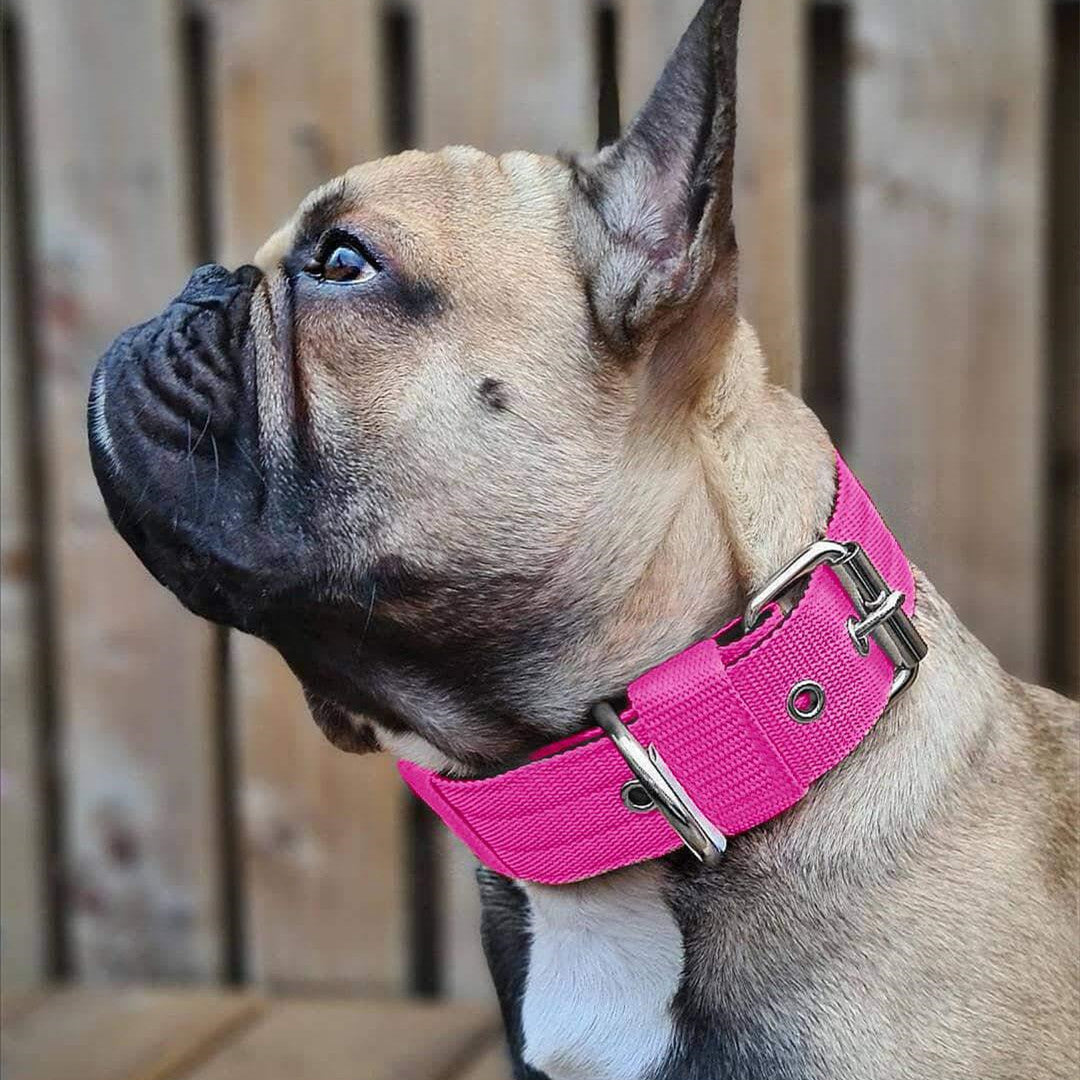 KFX-9685053 Multicolor Nylon Dog Collar Bandana for All Seasons - Sizes S to XL