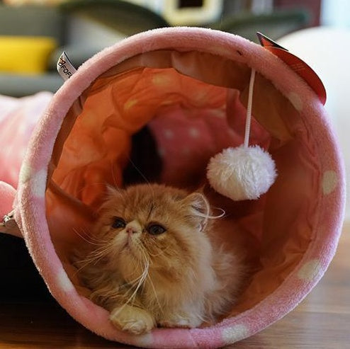 KFX-9692861 Cat Tunnel and Sleeping Bag Combo for Pet Rest and Play - Cloth Material, Spring/Summer Colors