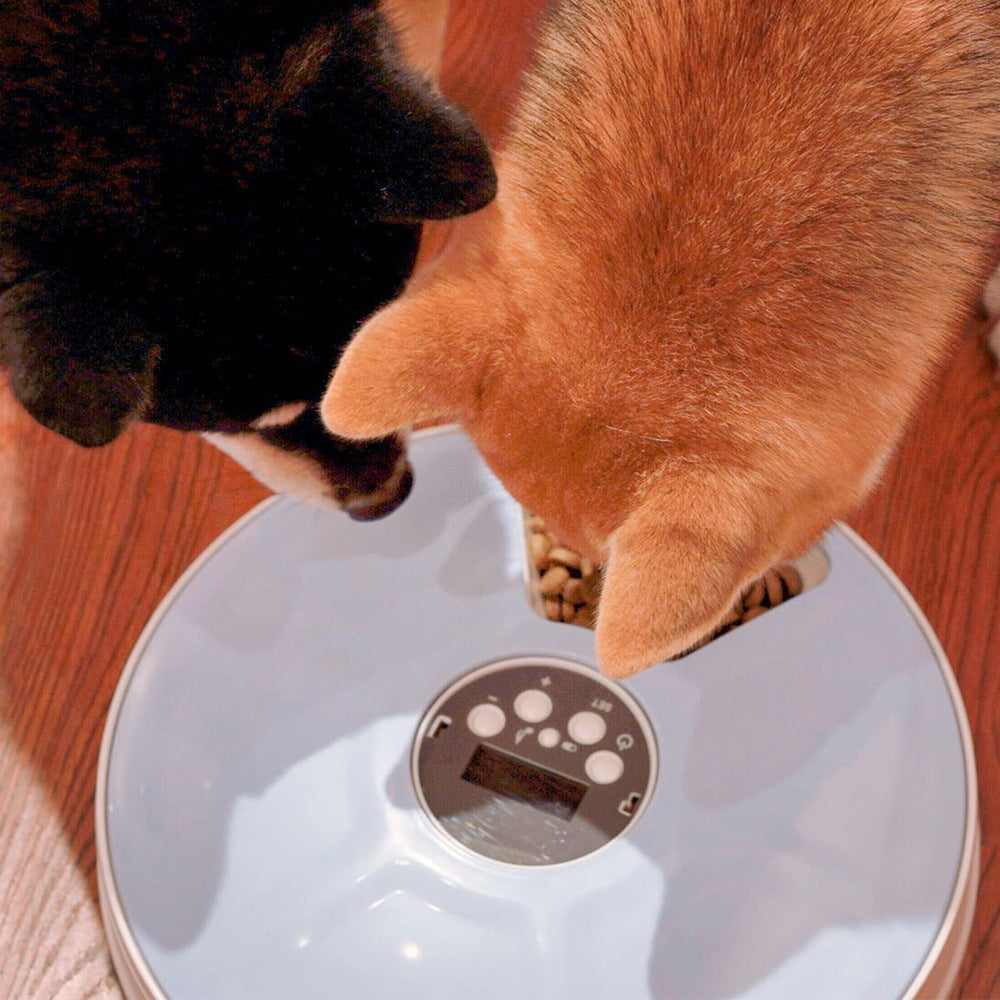KFX-9698365 Automatic Pet Feeder with 6 Grids and Voice Reminder Function
