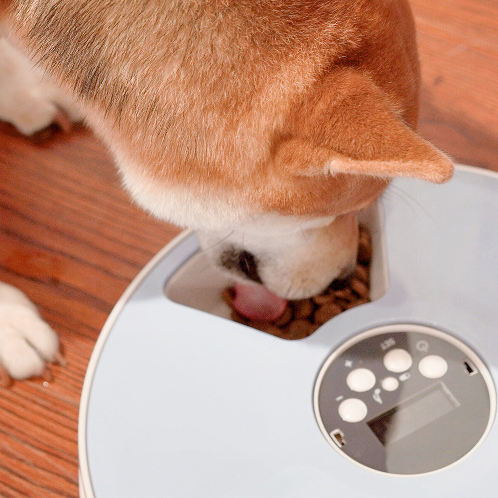 KFX-9698365 Automatic Pet Feeder with 6 Grids and Voice Reminder Function