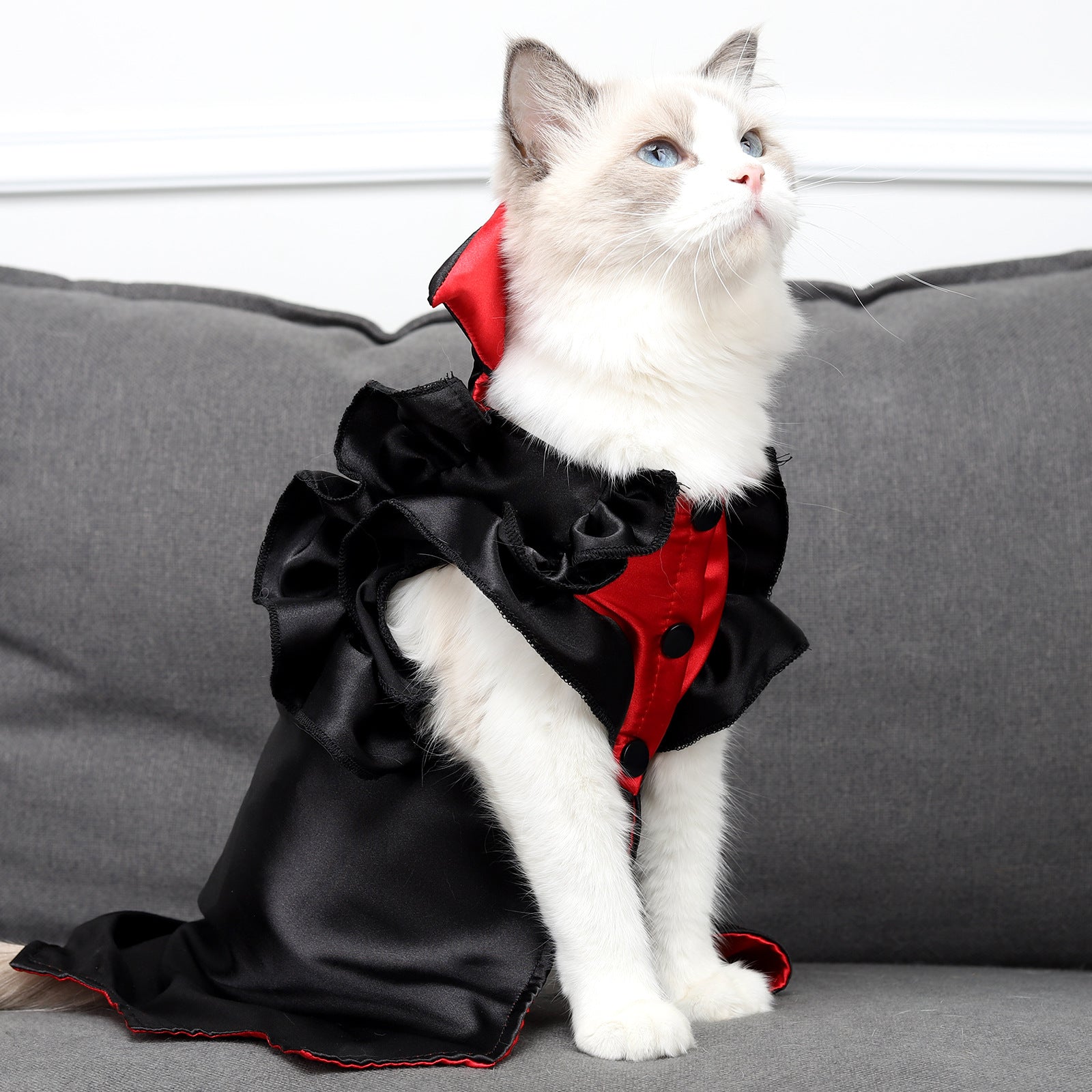 KFX-9698749 Cat Halloween Vampire Costume for Pets - Polyester and Spandex, Two-Legged Design, Sizes M and L