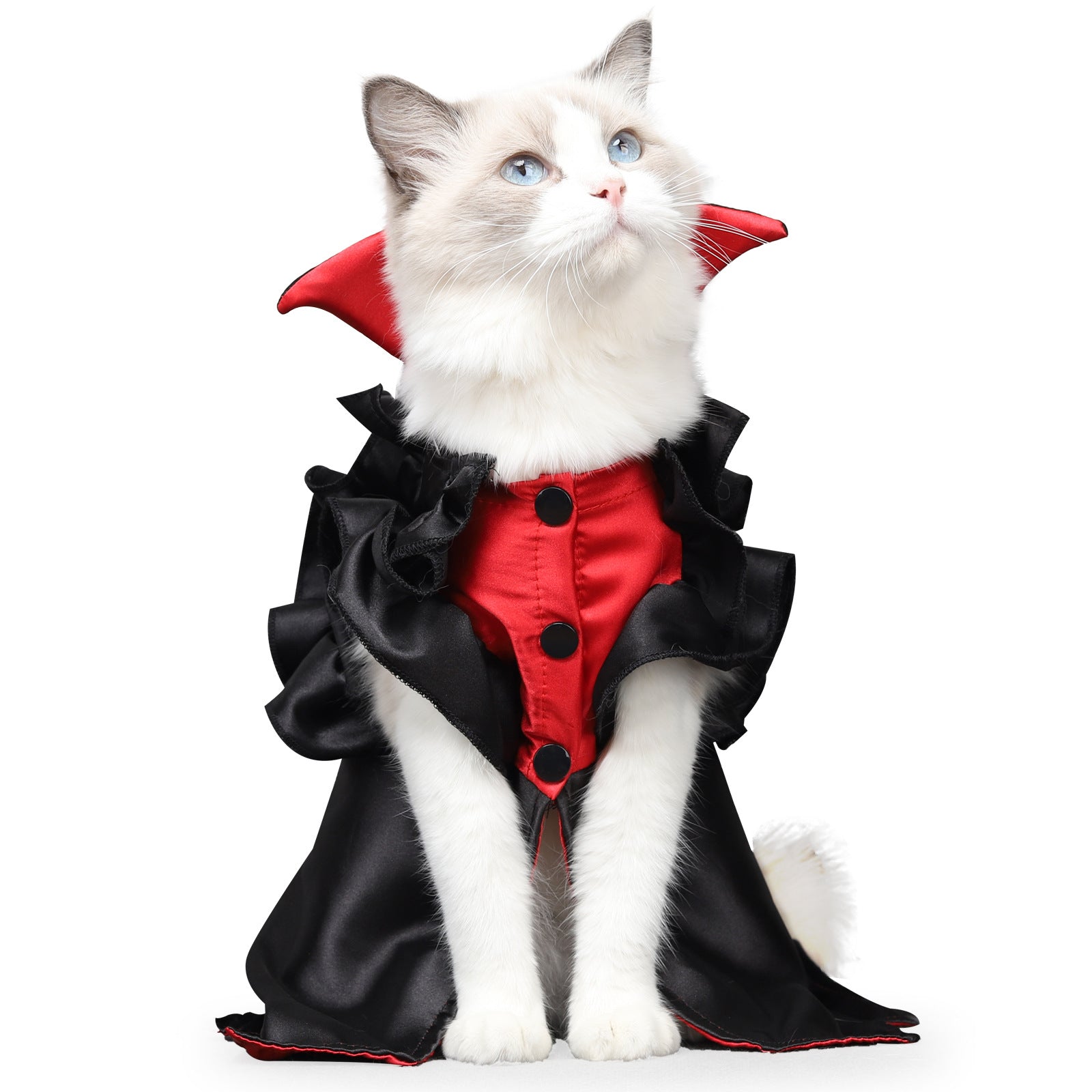 KFX-9698749 Cat Halloween Vampire Costume for Pets - Polyester and Spandex, Two-Legged Design, Sizes M and L