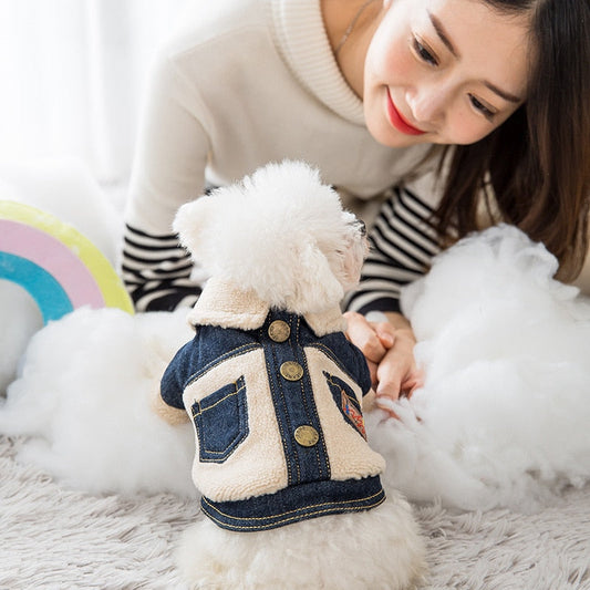 KFX-9704509 Warm Denim and Grain Velvet Two-Legged Clothing for Pets