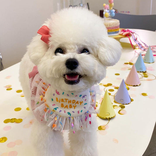 KFX-9707709 Pet Birthday Bib and Hat Set for Dogs - Bichon Triangle Scarf, Polyester Material, Various Sizes Available