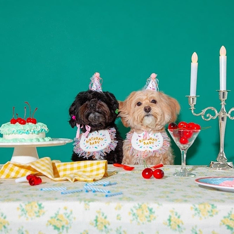 KFX-9707709 Pet Birthday Bib and Hat Set for Dogs - Bichon Triangle Scarf, Polyester Material, Various Sizes Available
