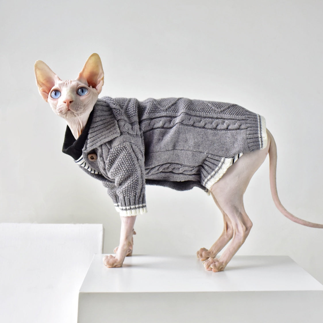 KFX-9713853 Cozy Space Gray Twist Sweater for Hairless Cats - Sized XXL