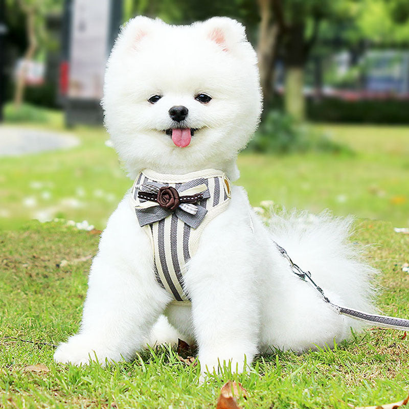 KFX-9715645 Adjustable Pet Harness with Bow Tie for Small & Medium Pets - Stripe Design