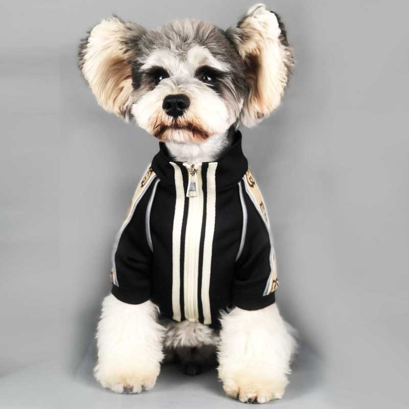 KFX-9721277 Cozy Reflective Two-Legged Dog Sweater for Spring and Autumn in Various Sizes
