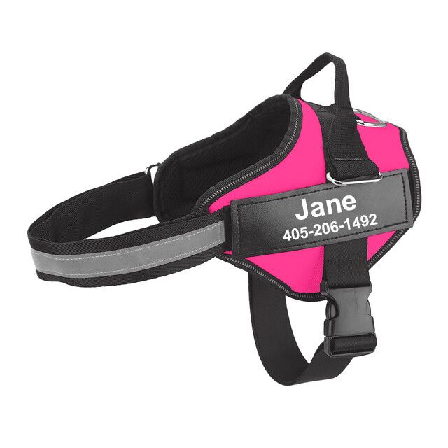 KFX-9726653 Multicolor Personalized Nylon Pet Chest Strap with Traction Rope