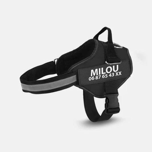 KFX-9726653 Multicolor Personalized Nylon Pet Chest Strap with Traction Rope