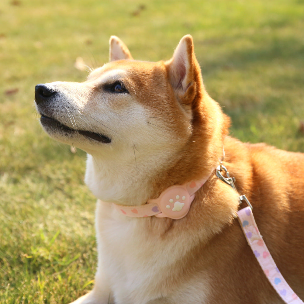 KFX-9727165 Adjustable Pet Positioning Collar and Leash Set for Small to Medium Pets, Multiple Colors Available