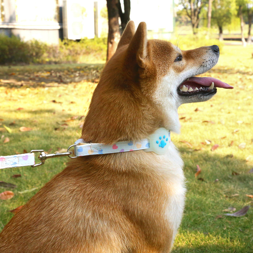 KFX-9727165 Adjustable Pet Positioning Collar and Leash Set for Small to Medium Pets, Multiple Colors Available