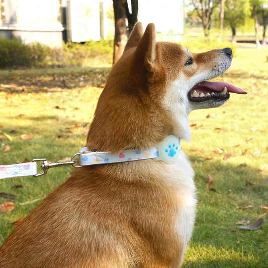 KFX-9727165 Adjustable Pet Positioning Collar and Leash Set for Small to Medium Pets, Multiple Colors Available