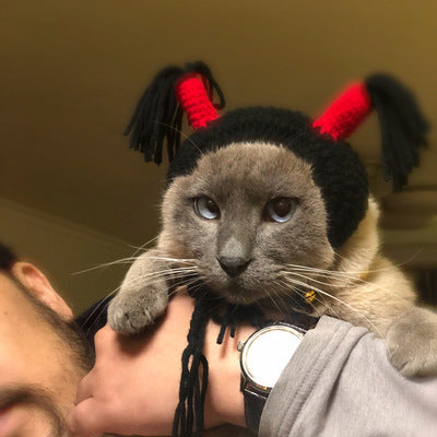 KFX-9732157 Halloween Cat Hood Hat - Adjustable Black Headgear for Pets