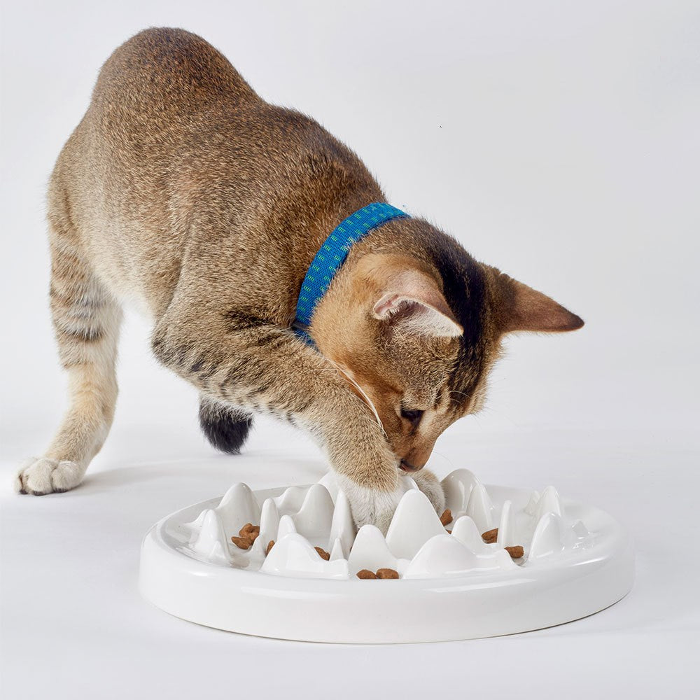 KFX-9733309 Ceramic Slow Food Bowl for Cats and Small Dogs - Fish & Bone Design