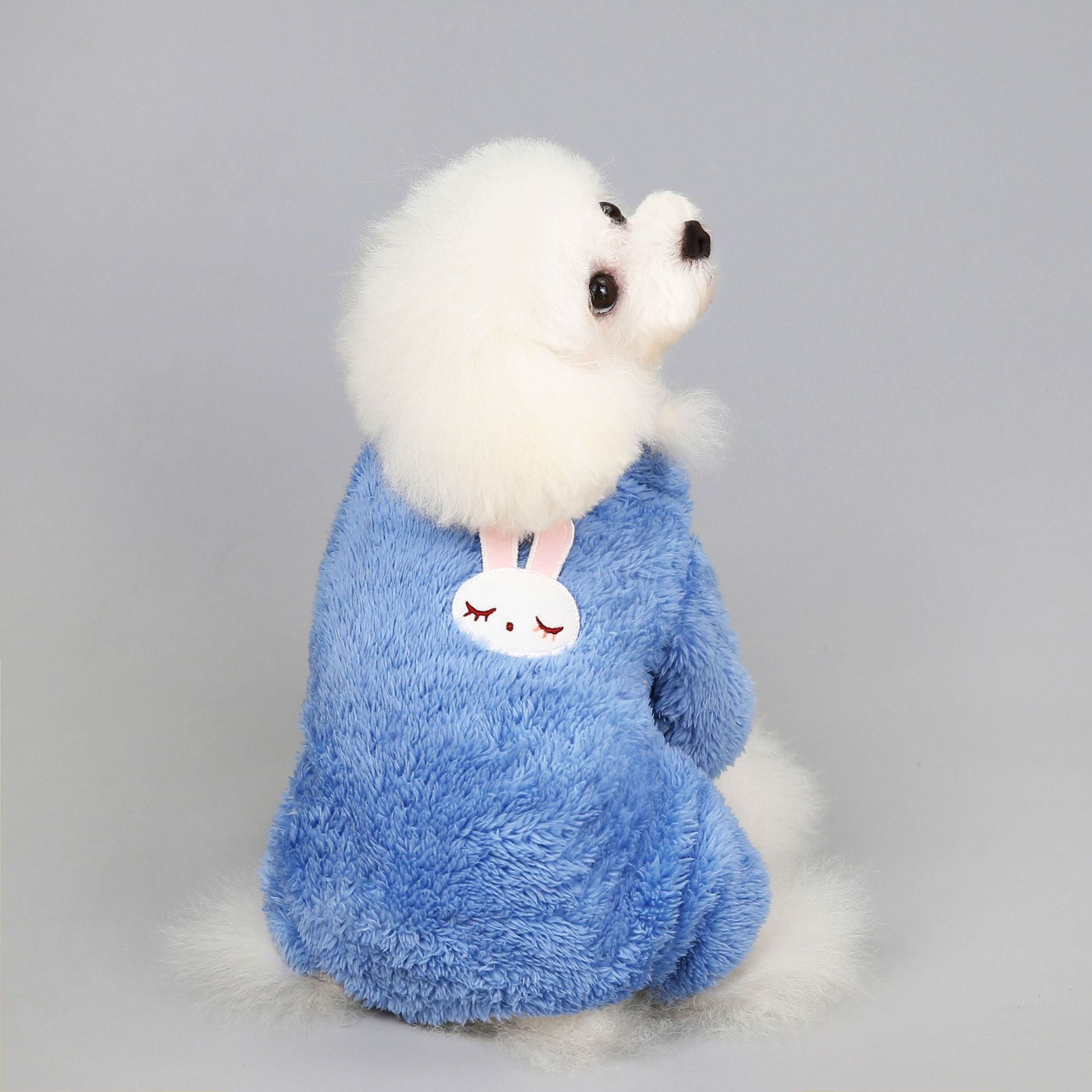 KFX-9733693 Teddy Velvet Cotton Jacket for Dogs and Cats with Six-Petal Flower Design