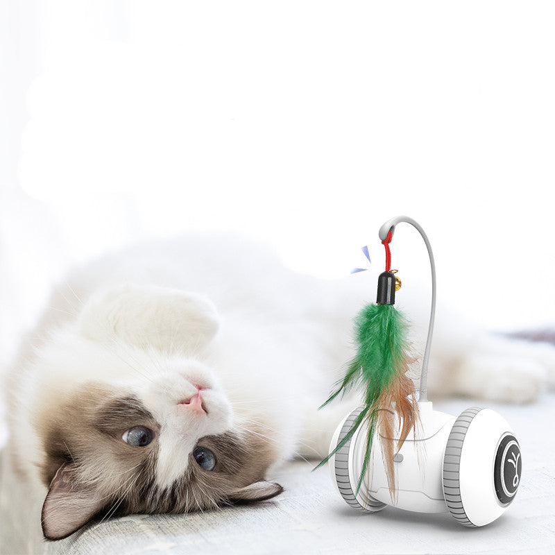 KFX-9733949 Interactive Cat Toy with Changeable Feather Accessories for Engaging Indoor Play