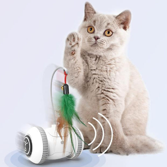 KFX-9733949 Interactive Cat Toy with Changeable Feather Accessories for Engaging Indoor Play