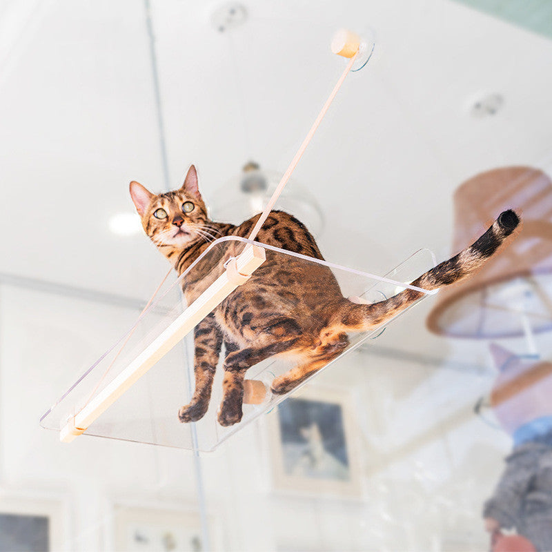 KFX-9737149 Hanging Transparent Acrylic Cat Bed for Comfortable Home Relaxation