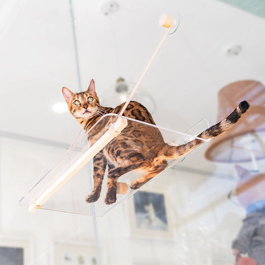 KFX-9737149 Hanging Transparent Acrylic Cat Bed for Comfortable Home Relaxation