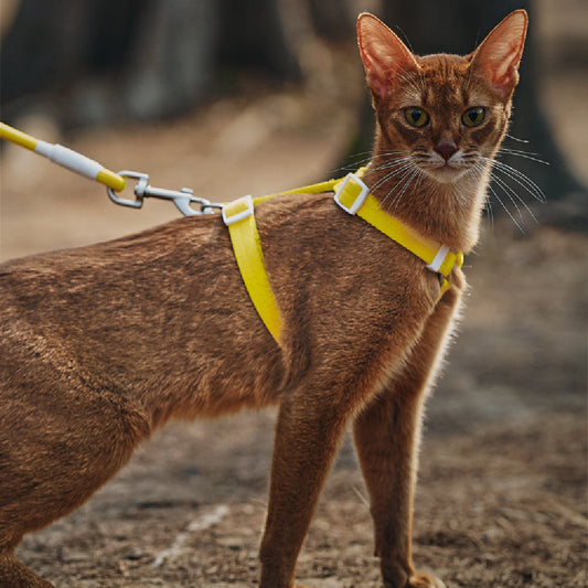 KFX-9748413 Pet Anti-Breakaway Traction Rope with Chest Harness - Available in Multiple Colors and Sizes