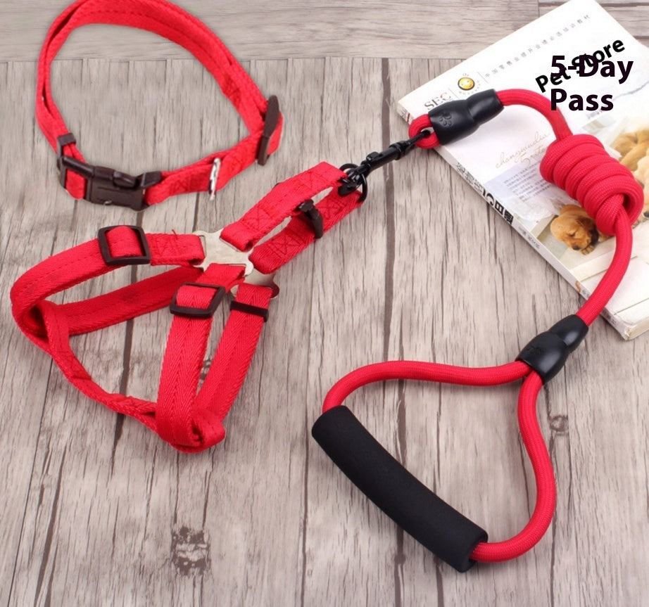 KFX-9750589 Multi-Style Pet Harness and Collar Set with Adjustable Leashes