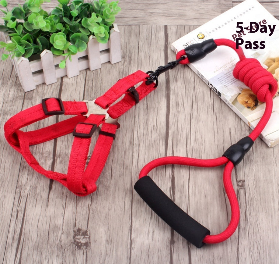 KFX-9750589 Multi-Style Pet Harness and Collar Set with Adjustable Leashes