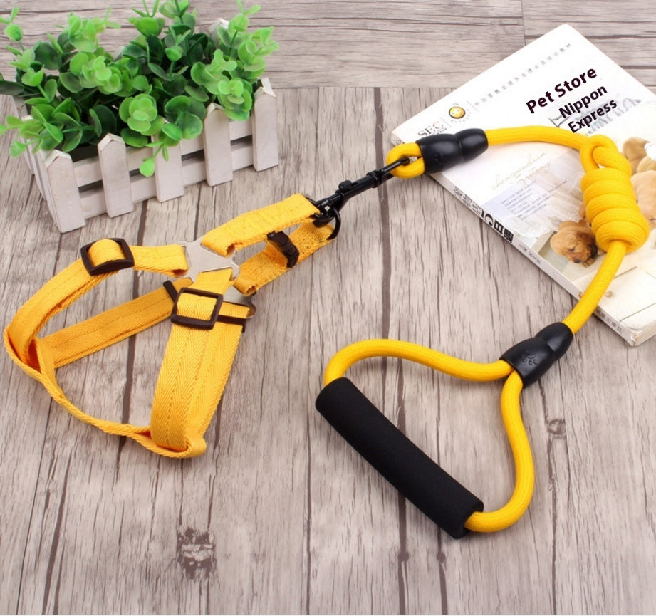 KFX-9750589 Multi-Style Pet Harness and Collar Set with Adjustable Leashes