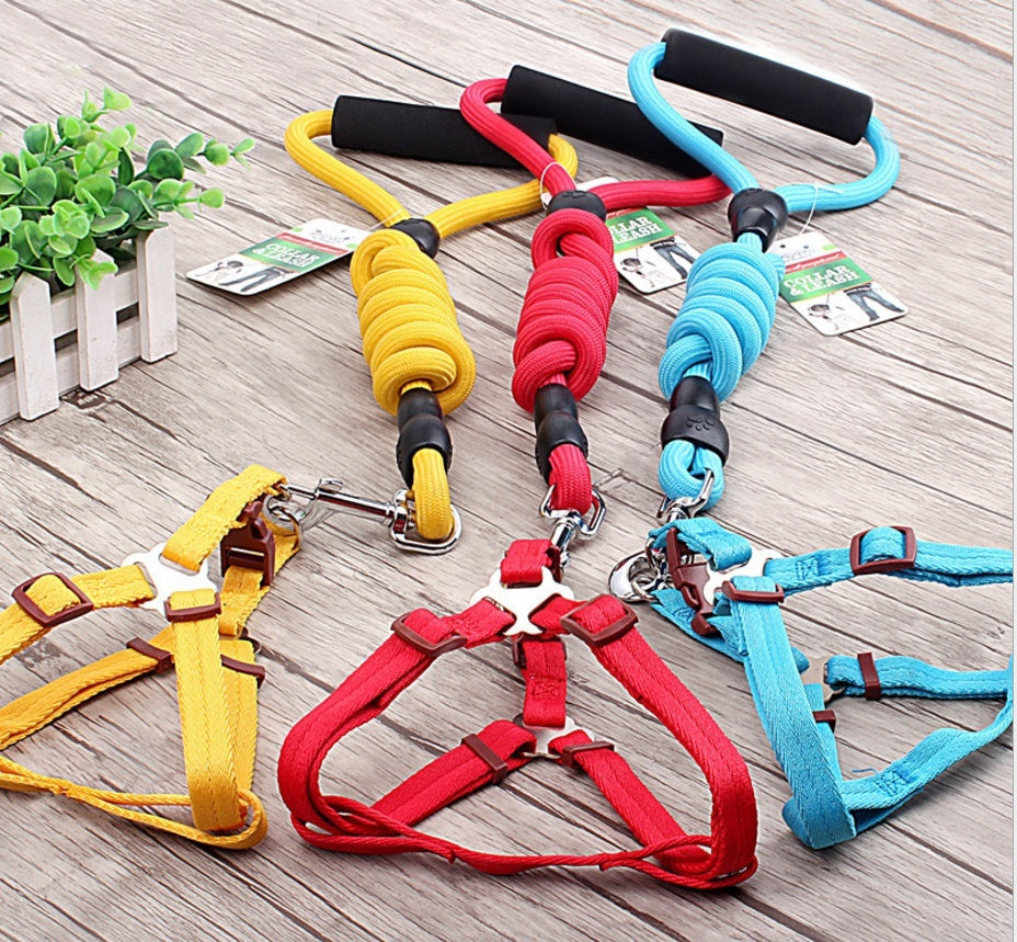 KFX-9750589 Multi-Style Pet Harness and Collar Set with Adjustable Leashes