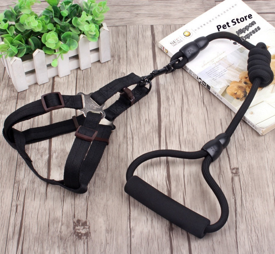 KFX-9750589 Multi-Style Pet Harness and Collar Set with Adjustable Leashes