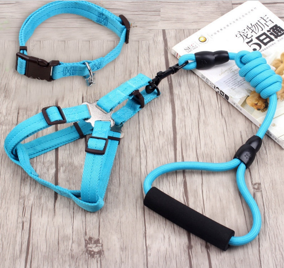 KFX-9750589 Multi-Style Pet Harness and Collar Set with Adjustable Leashes
